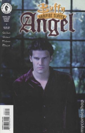 Buffy the Vampire Slayer: Angel #2B [Photo Cover]